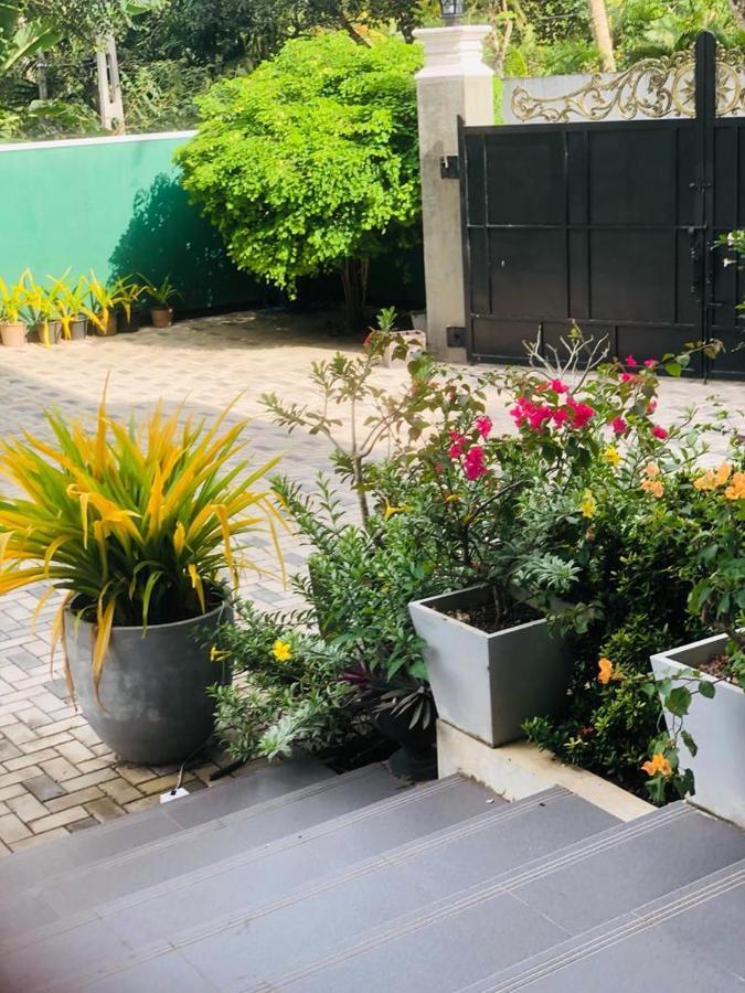 אונה ואטונה Coral Palm Villa And Apartment מראה חיצוני תמונה