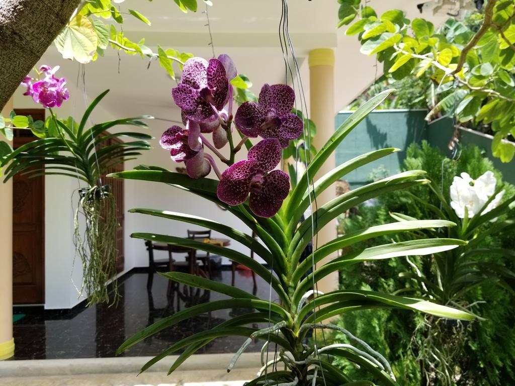 אונה ואטונה Coral Palm Villa And Apartment מראה חיצוני תמונה